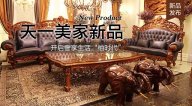 天一美家柚至尊新品，開啟奢享生活柚時代！